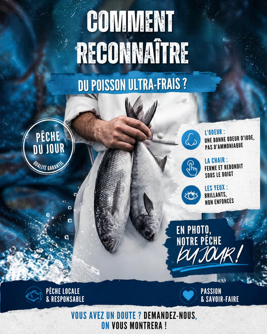 Zéro limite, 100% sur mesure Campagne marketing digitale colorée présentant une solution créative personnalisée pour entreprises et entrepreneurs.